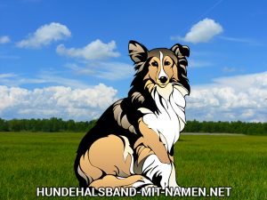 Ausgemalter Hund